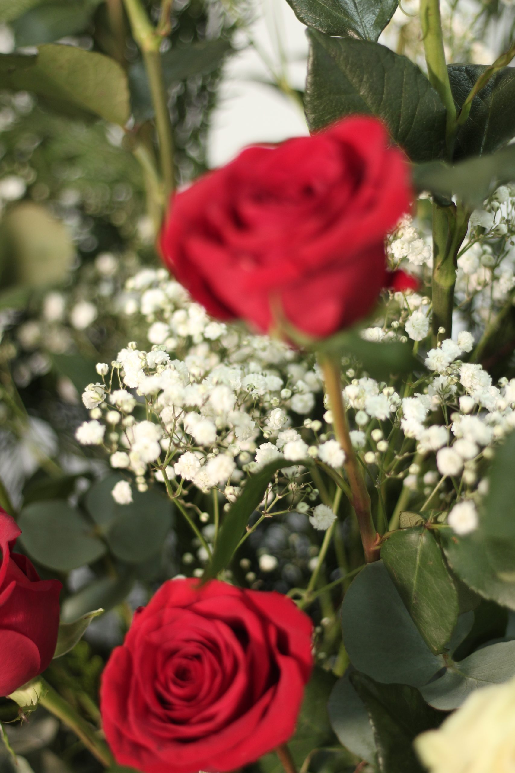 Ramo Rosas Grandes